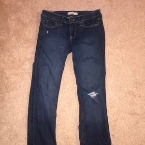 Hollister jeans